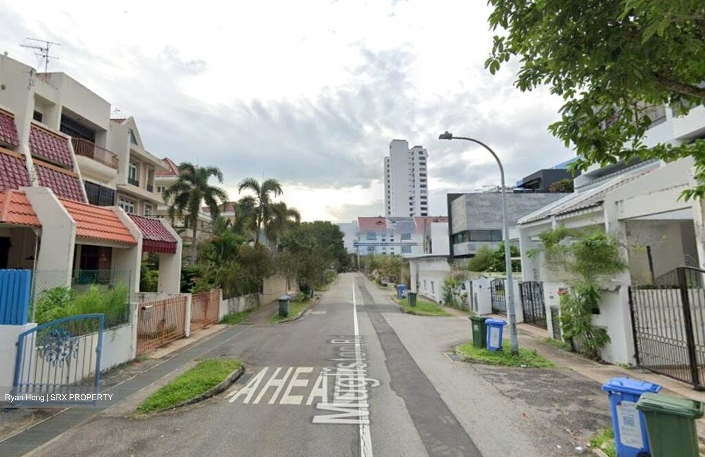 Haig Road (D15), Terrace #461166521